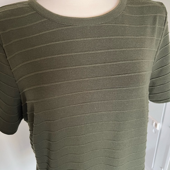 Fit and Flare Plus Green Dress from Anthropologie in 1X - Picture 5 of 7